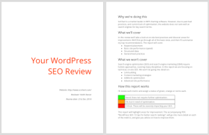 Sample of WordPress SEO review